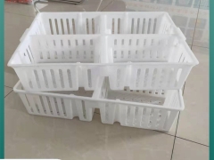 鸡苗筐 四格小鸡运输筐 鸡苗箱子工厂直销图4