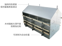 养鸡专用热镀锌产蛋箱 厂家批发12穴加厚产蛋箱图2