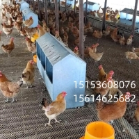 万能型产蛋箱 散养鸡下蛋窝 防雨产蛋窝 12穴母鸡土鸡下单器 种鸡鸡蛋器大容量