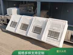 塑料鸡笼方形运鸡筐 青年鸡塑料运输筐图2