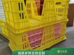 厂家大量批发种蛋运输筐 厂家供应运输种蛋塑料蛋筐 耐摔蛋箱图2