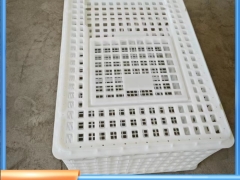 塑料装鹅笼子加厚加高成鹅周转筐抗冻拉鹅筐图5