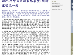 2025年中国市场策略展望：柳暗花明又一村