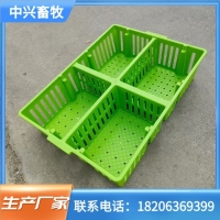 塑料雏鸡苗筐拉鸡苗筐四格鸡苗运输筐透气16高雏鸡周转筐