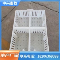 抗老化透气鸡苗筐雏鸡周转筐塑料运输鸡苗筐塑料装鸡苗箱