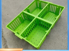 抗老化透气鸡苗筐雏鸡周转筐塑料运输鸡苗筐塑料装鸡苗箱图4