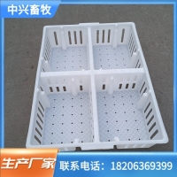 雏鸡运输筐抗摔鸭苗四格鸡苗筐加高鸡苗箱