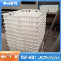塑料鸡苗转运筐塑料鸡苗箱加厚四格运输鸡苗筐孵化场用鸡苗鸭苗箱