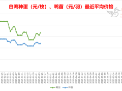 2025-3-24 鸭苗毛鸭及相关品行情微报