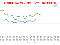 2025-4-23 鸭苗毛鸭及相关品行情微报