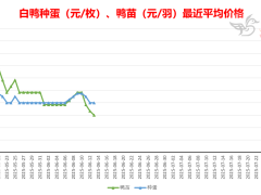 2025-6-14 鸭苗毛鸭及相关品行情微报
