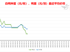 2025-6-15 鸭苗毛鸭及相关品行情微报