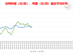 2026-2-09 鸭苗毛鸭及相关品行情微报